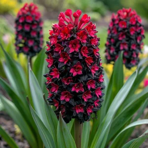 Гиацинт Джем Стоун купить по цене от 2099р. в интернет-магазине «Посадика» с доставкой почтой в в Ижевске и по всей России – [изображение №1].