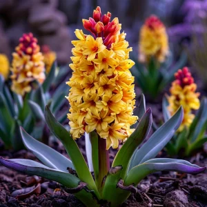 Гиацинт Миднайт Мистери купить по цене от 2099р. в интернет-магазине «Посадика» с доставкой почтой в в Ижевске и по всей России – [изображение №1].