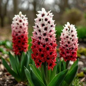 Гиацинт Скай Гарден купить по цене от 2099р. в интернет-магазине «Посадика» с доставкой почтой в в Ижевске и по всей России – [изображение №1].